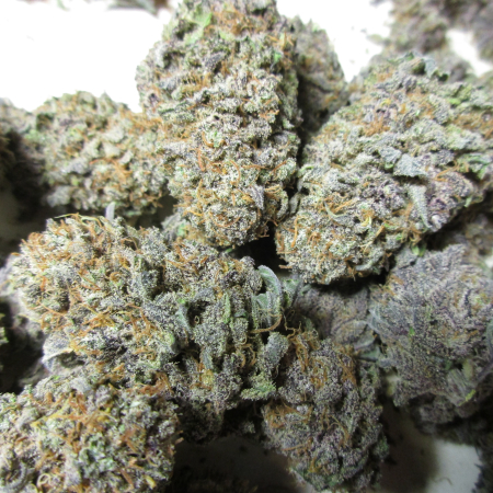 Purple Pineapple Express cannabis flowers
