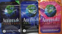 Digital cannabis seed packaging natural seeds and feminized