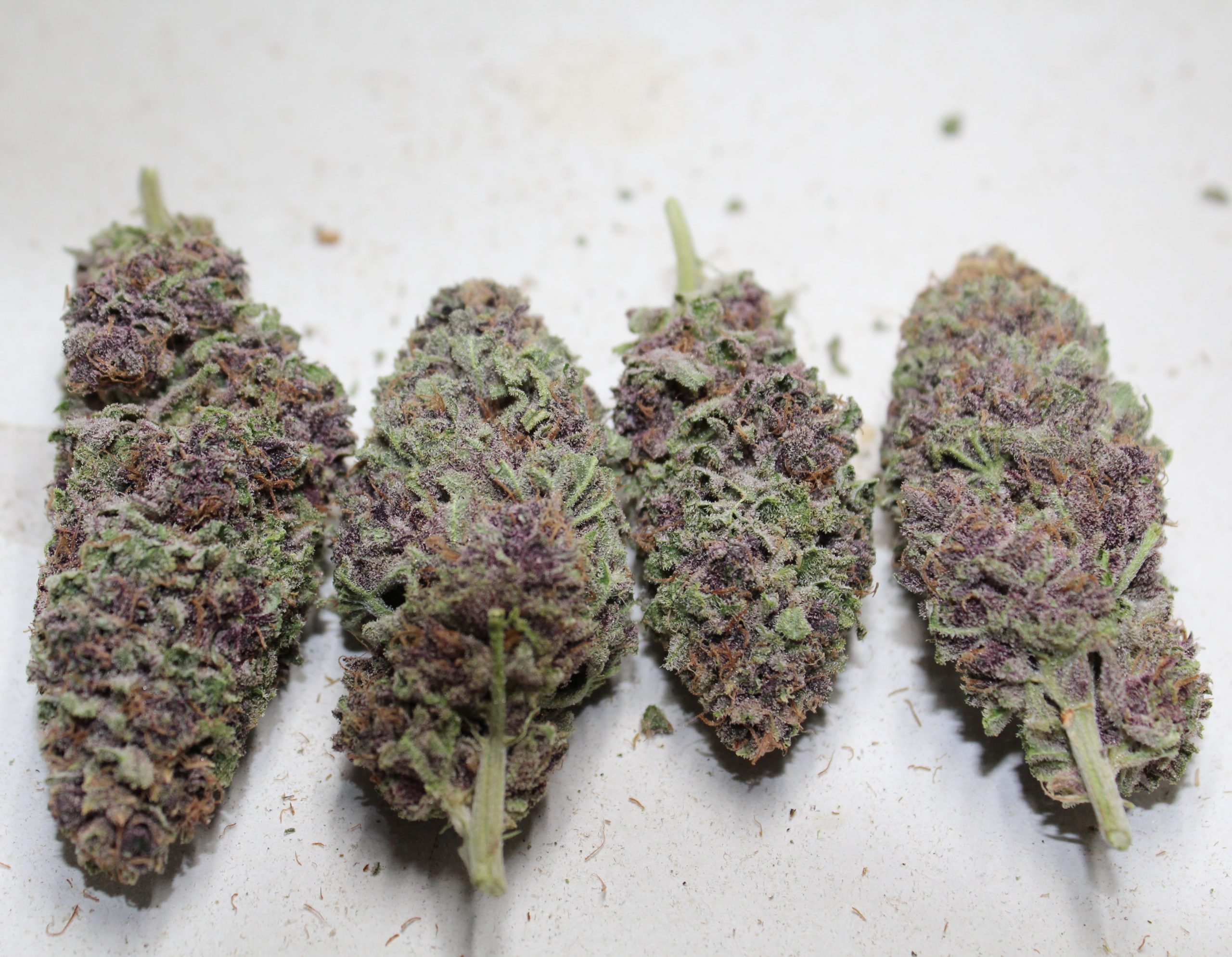 strawberry mamba #4 cannabis buds