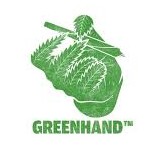 find tony green hand cannabis