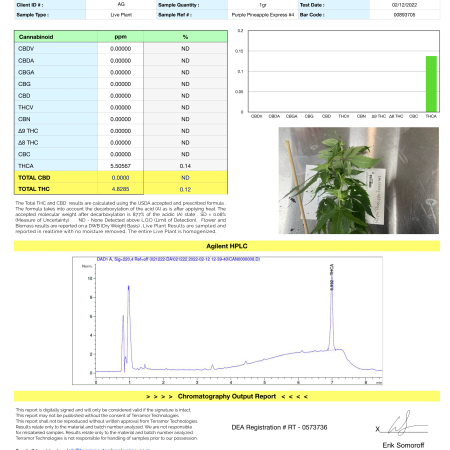 Purple Pineapple Express Certificate of Analysis