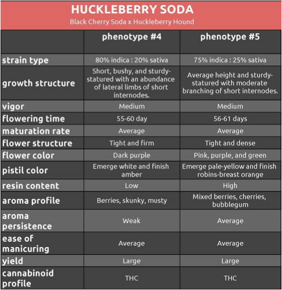 Huckleberry Soda phenotype comparison chart